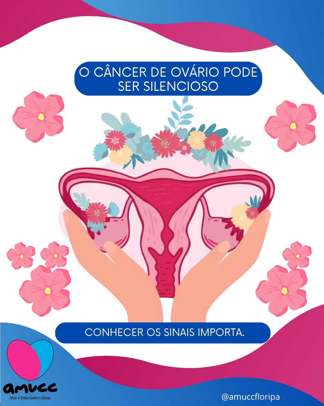 Dia Mundial do Câncer de Ovário: AMUCC alerta para a importância de não normalizar sintomas e ouvir o próprio corpo